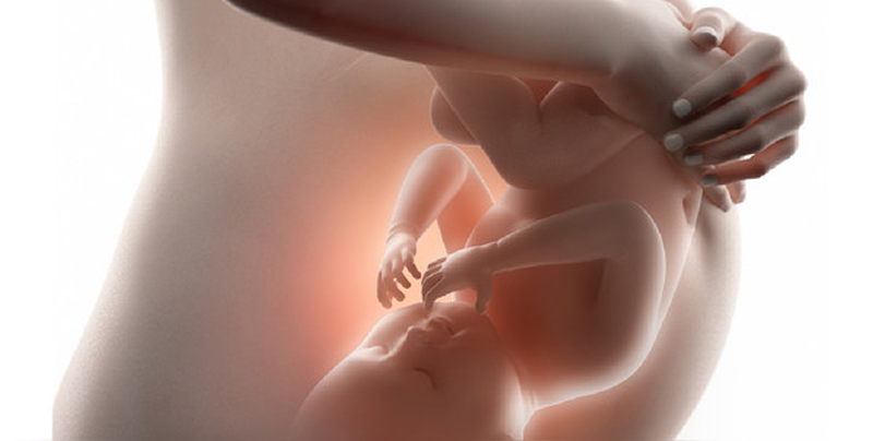 Una segunda mujer está embarazada de un bebé genéticamente modificado