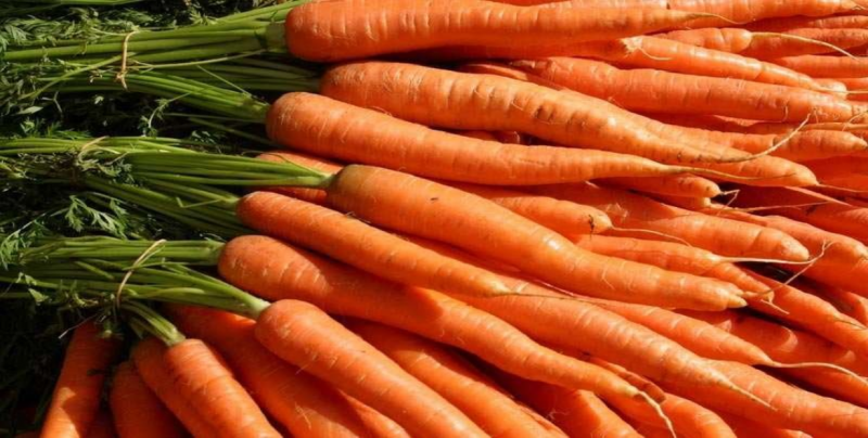 Beneficios de comer zanahoria y más en jugo