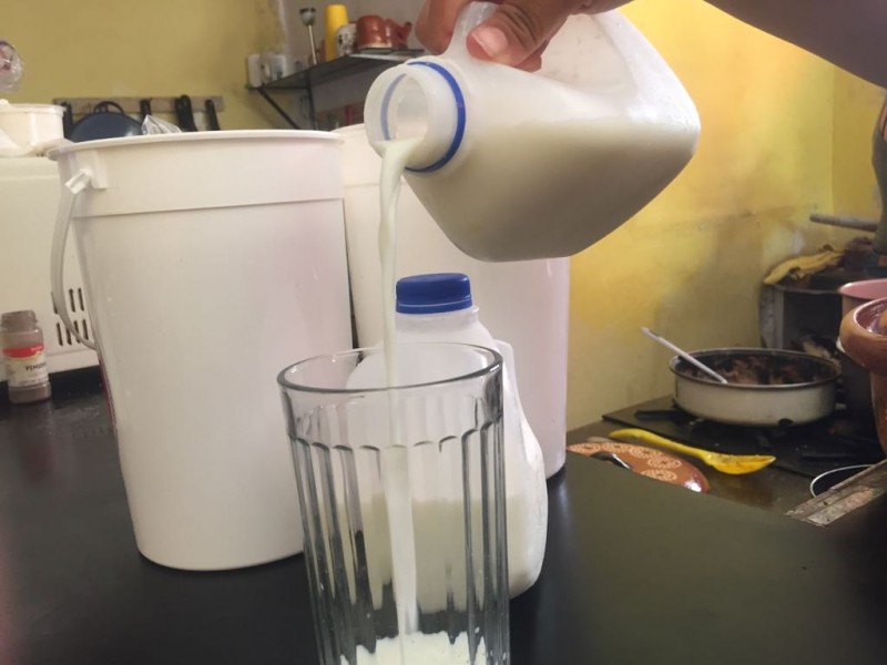 Ganaderos piden aumento al precio de la leche