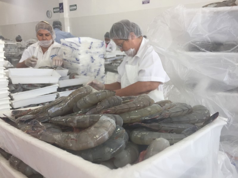 Se invertirán 40 MDP en empleo temporal para pescadores