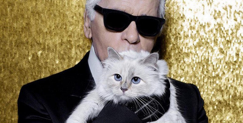 'Choupette', la gata que heredará toda la fortuna de Karl Lagerfeld
