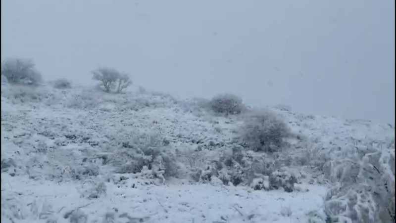 Seguirán manteniéndose bajas las temperaturas en la región y nevadas en el país: Meteorológico