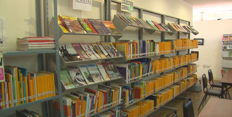 Bibliotecarios luchan para que no desaparezcan los espacios de lectura