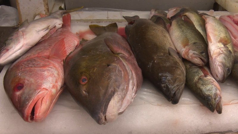 Supervisa inspección y normatividad venta de mariscos y pescados