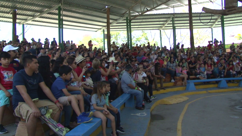 Vacacionistas abarrotaron los centros turísticos en Mazatlán