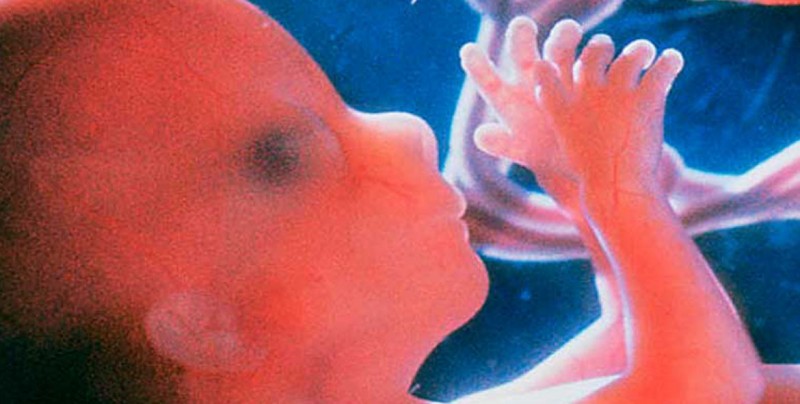 Piden a las autoridades el feto de bebé encontrado en Forum para sepultarlo