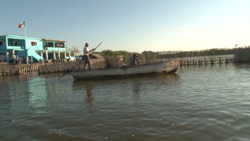 Necesario se bajen programas de apoyo a pescadores: Plancarte