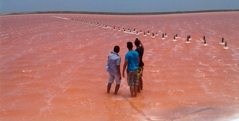 Colombia también tiene una laguna rosada