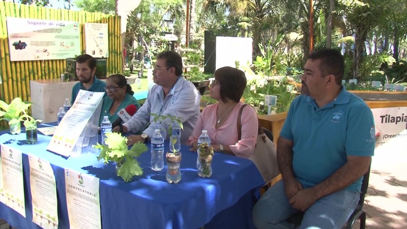 Buscan introducir la 'acuaponia' en las escuelas