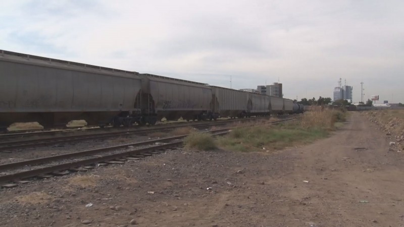 Exige la AARC revisar furgones de ferrocarril ante sospecha de contaminación en maíz importado