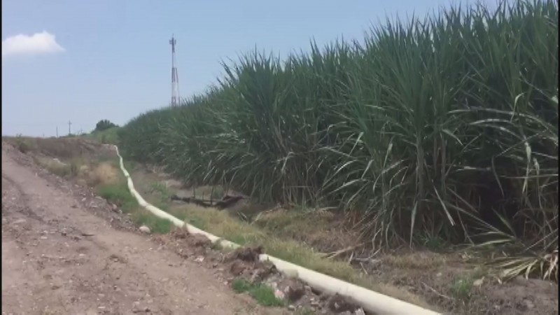 Productores de caña de azúcar en Eldorado realizan trabajos de rescate de agua para riego