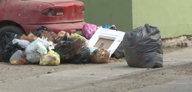 Cúmulo de basura afecta al Infonavit Playas