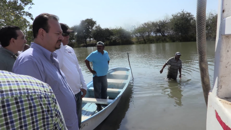 CONAPESCA va por el rescate de sistemas lagunares productores de camarón de México