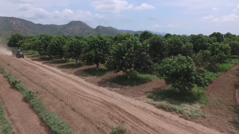 Hay compromiso de reforzar seguridad en el sector agrícola: SP