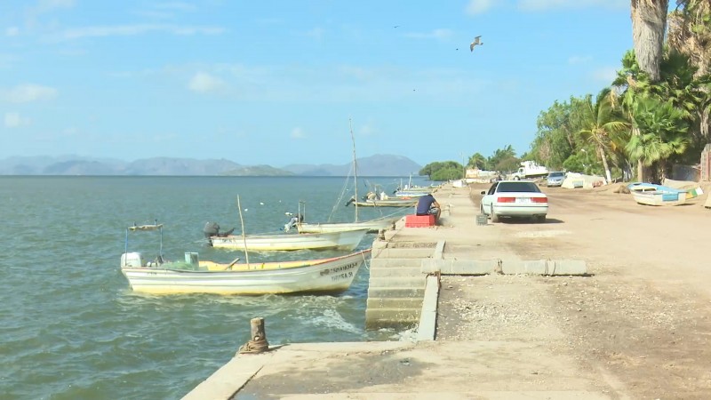 Pescadores salieron en busca de la jaiba