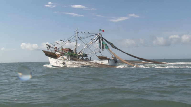 Existe confianza en que se aprueben más apoyos para el combustible en el sector pesquero: CONAPESCA