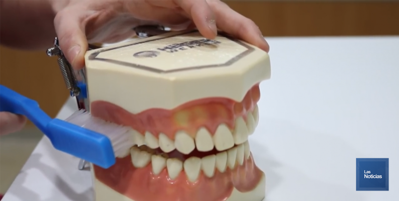 Indispensable la prevención y cepillado de dientes para una buena salud bucal