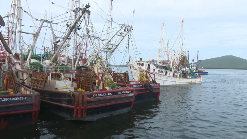 Cientos de pescadores resguardados