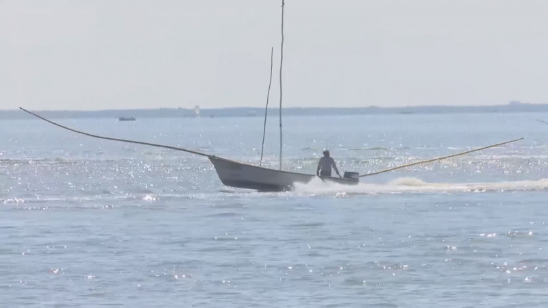 Un golpe mortal para la pesca la propuesta de Presupuesto para el 2020