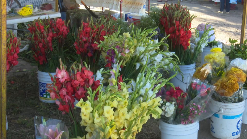 158 permisos se han entregado para venta de flores en día de muertos