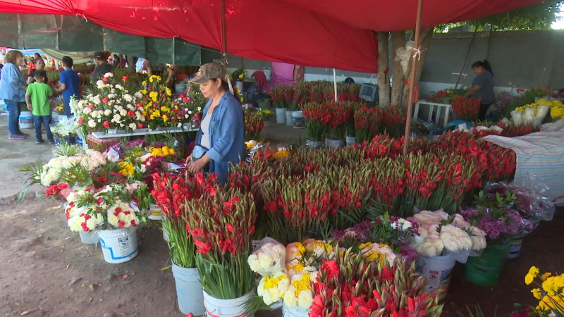 Vigilaran que se cumpla con reglamento de venta de flores