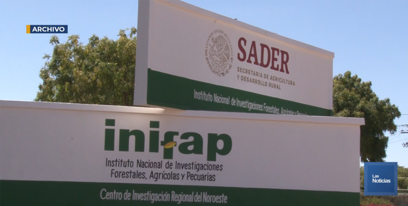 Preocupa a investigadores del INIFAP que recursos asignados y no entregados se pierdan