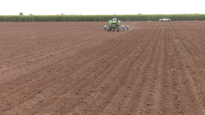 Agricultores ven un panorama difícil para 2020