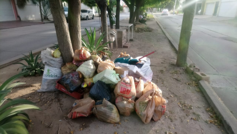 Reportan 8 días sin pasar la basura en Bugambilias