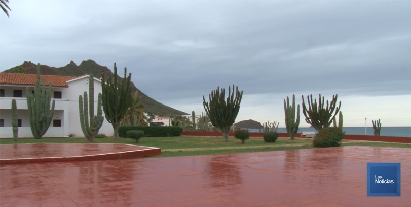 Invitan a vivir las bellezas del Mar de Cortés, lema de la última campaña de la OCV