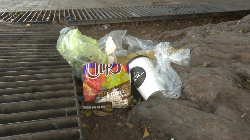Ciudadanos avalan ley anti plásticos en Sinaloa
