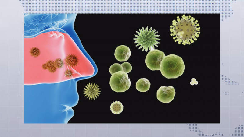 Neumonías, las más peligrosas las que generan los virus