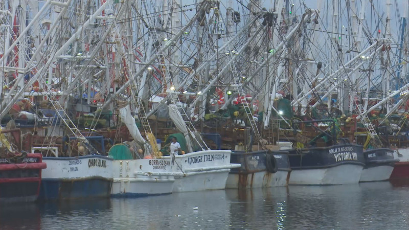 El 80 por ciento de la flota camaronera ya se encuentra "amarrada" en el puerto