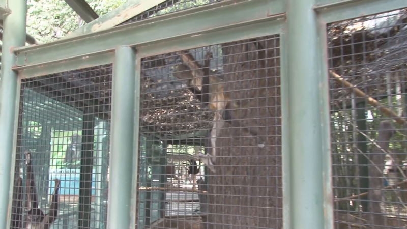 AZCARM va por dos santuarios de animales rescatados