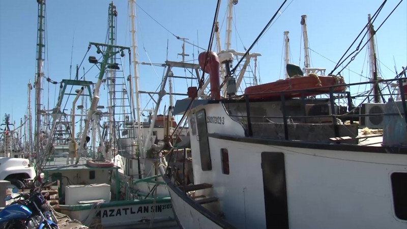 Gestiona Gobernador apoyos para el sector pesquero