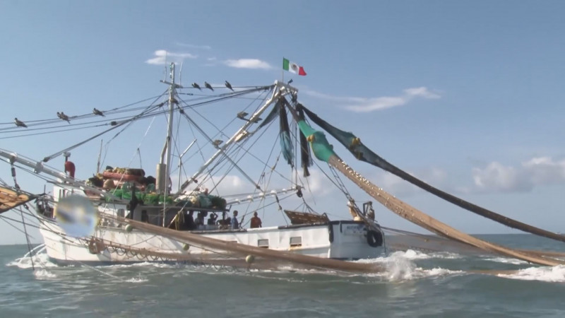 Crecieron las capturas de camarón entre el 12 y 15 por ciento en la temporada recién finalizada