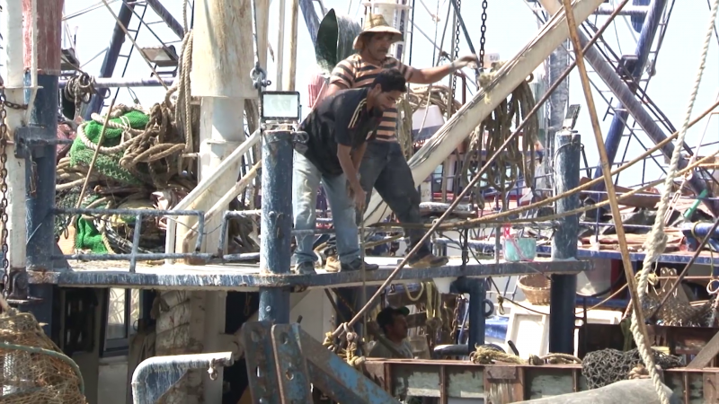 Desmantelan barcos en el muelle del parque Bonfil