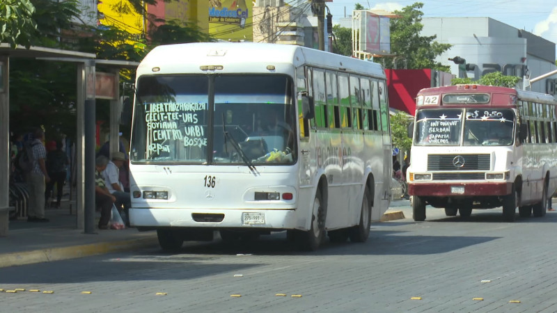 Camiones urbanos al 50 por ciento