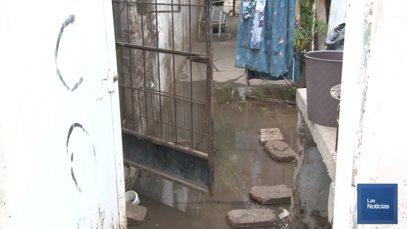 Viven contingencia con drenajes colapsados en sus viviendas