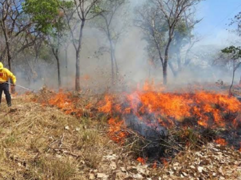 Pese a emergencia de salud, en México se registran incendios forestales