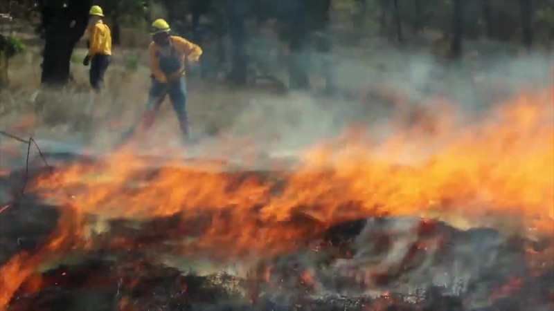 Inicia en Sinaloa la segunda temporada de incendios forestales