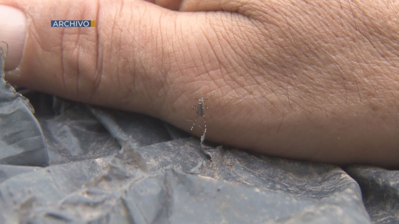 En Sinaloa  actualmente hay  482 casos probables de dengue