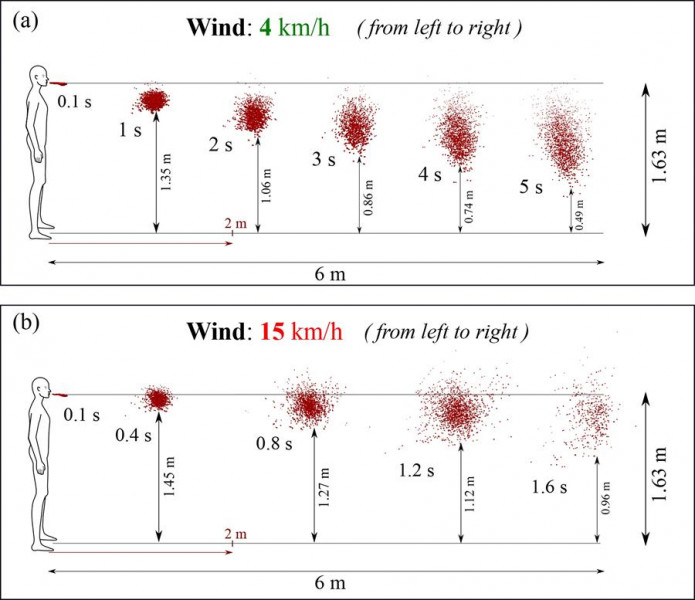 Para evitar contagios de Covid-19, los dos metros de distanciamiento físico son insuficientes si hace viento, indica estudio de E.U.