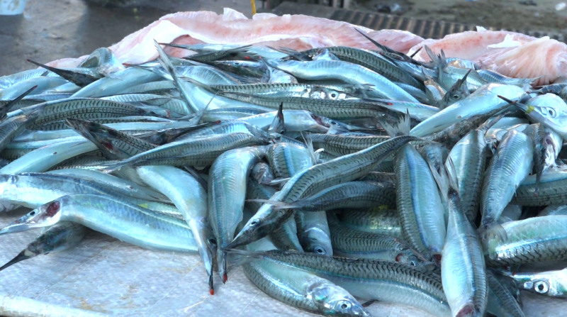 Continúa la venta de pescado Pajarito en Playa Norte