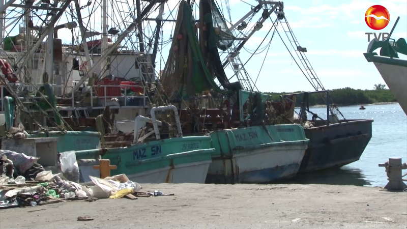 Industriales pesqueros analizan situación de ese sector en un conversatorio
