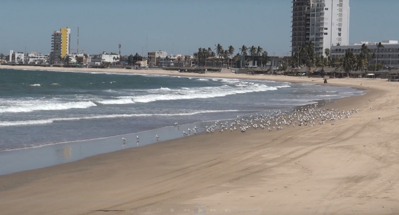 Detienen a surfistas por omisión