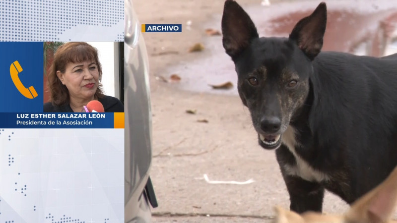 Para evitar muerte de animales por el calor, piden a DRRY mantener agua en canales