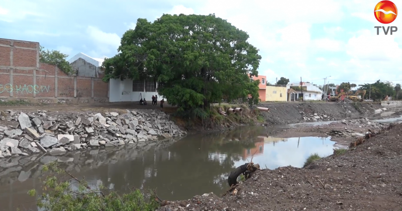 Vecinos de Jacarandas protestan por retiro de árbol por obra de revestimiento