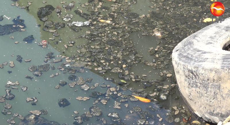 93 mil unidades de heces alberga el Estero de Urías denuncian vecinos