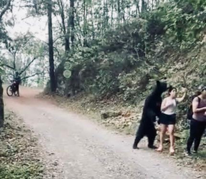 AZCARM pide a la cámara de diputados ayuda para la preservación del hábitat del oso negro