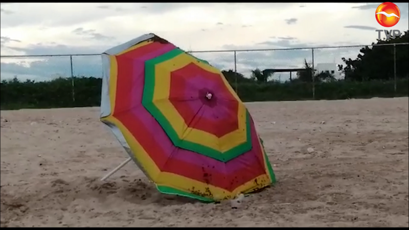 Abejas atacan a tres mujeres de Zacatecas en playas de Mazatlán